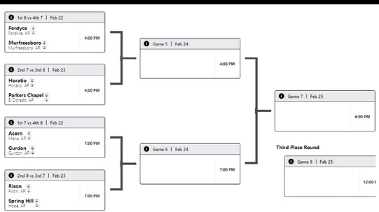 Lady Wildcats Face Spring Hill in Regional Opener