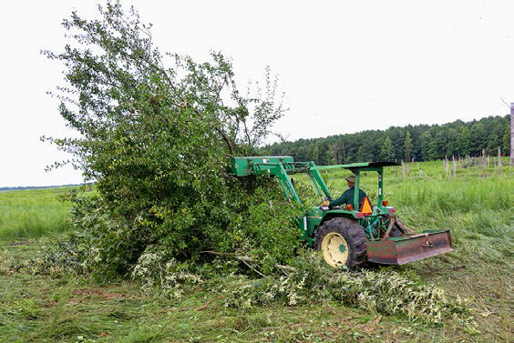 DEVELOPING FISH HABITAT - Eighty-seven fish habitat sites were constructed using various materials, including this brush pile, during Lake Monticello’s drawdown and renovation. (Photo courtesy AGFC)