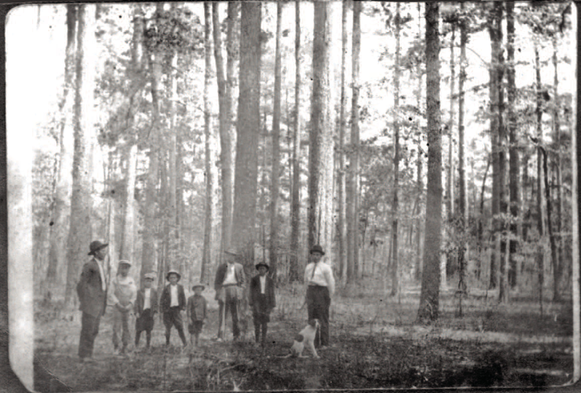 Glimpses from the Past