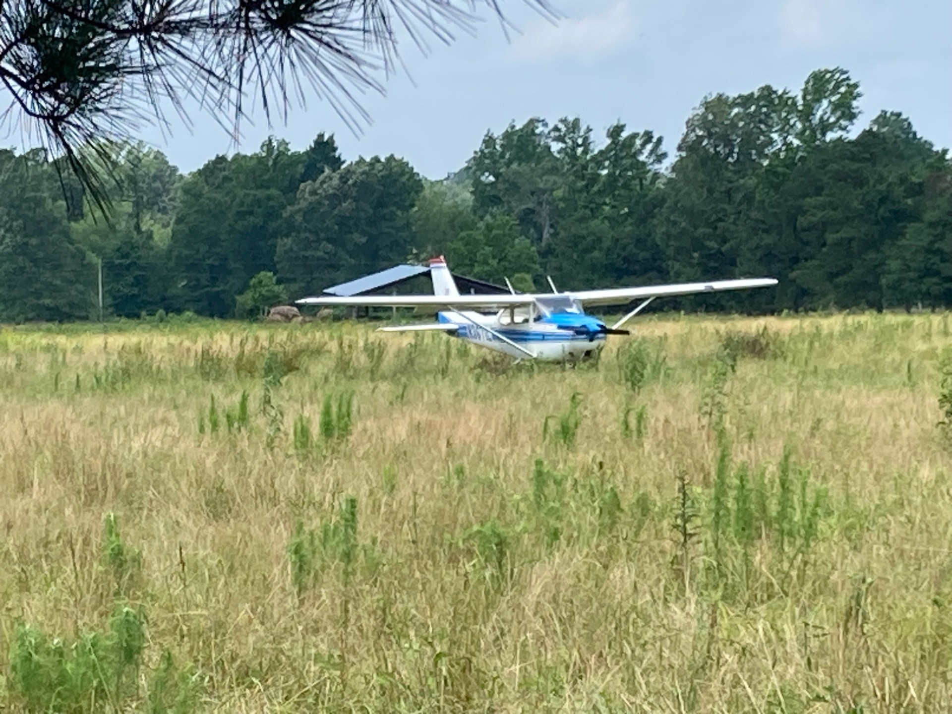 EMERGENCY LANDING BETWEEN RISON AND CALMERR - This single-engin e airplane was forced to make an emergency landing in Lunsford's cow pasture after running out of fuel on a flight from Houston to Pine Bluff last Thursday evening, according to the Cleveland County Sheriff's Department. The pilot nor his passenger were injured, and the sheriff's department there was no damage to the plane.