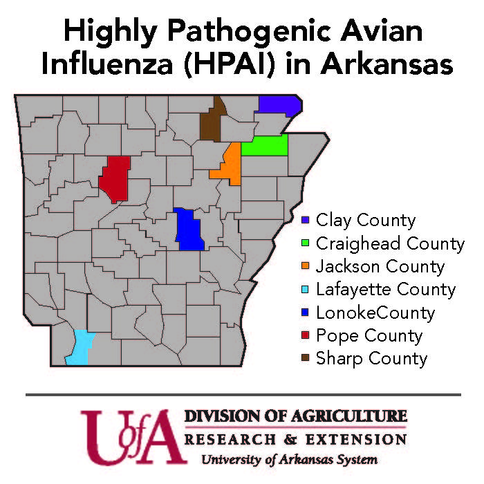Highly Pathogenic Avian Influenza (HPAI) in Arkansas