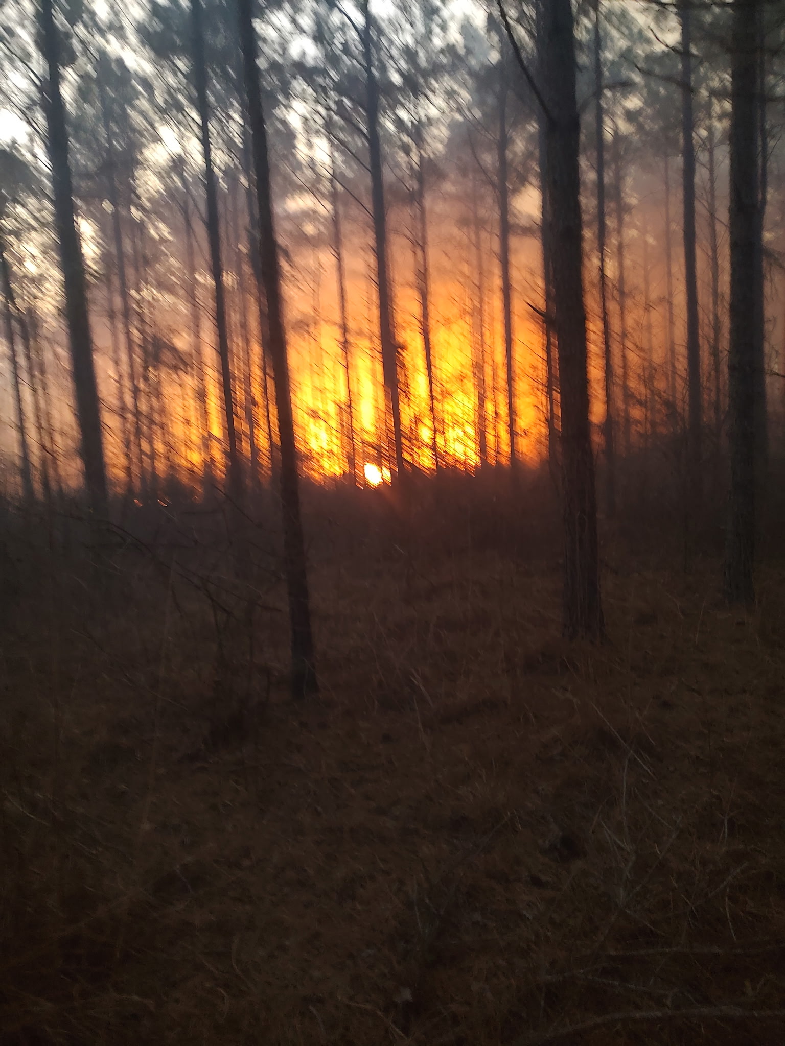 NEW EDINBURG WILDFIRE - This shot taken by a member of the New Edinburg Volunteer Fire Department shows the size of the fire that was burning along Mt. Lebanon Road in the New Edinburg area last Wednesday. There were reports that two other fires were in that same area of Saturday.