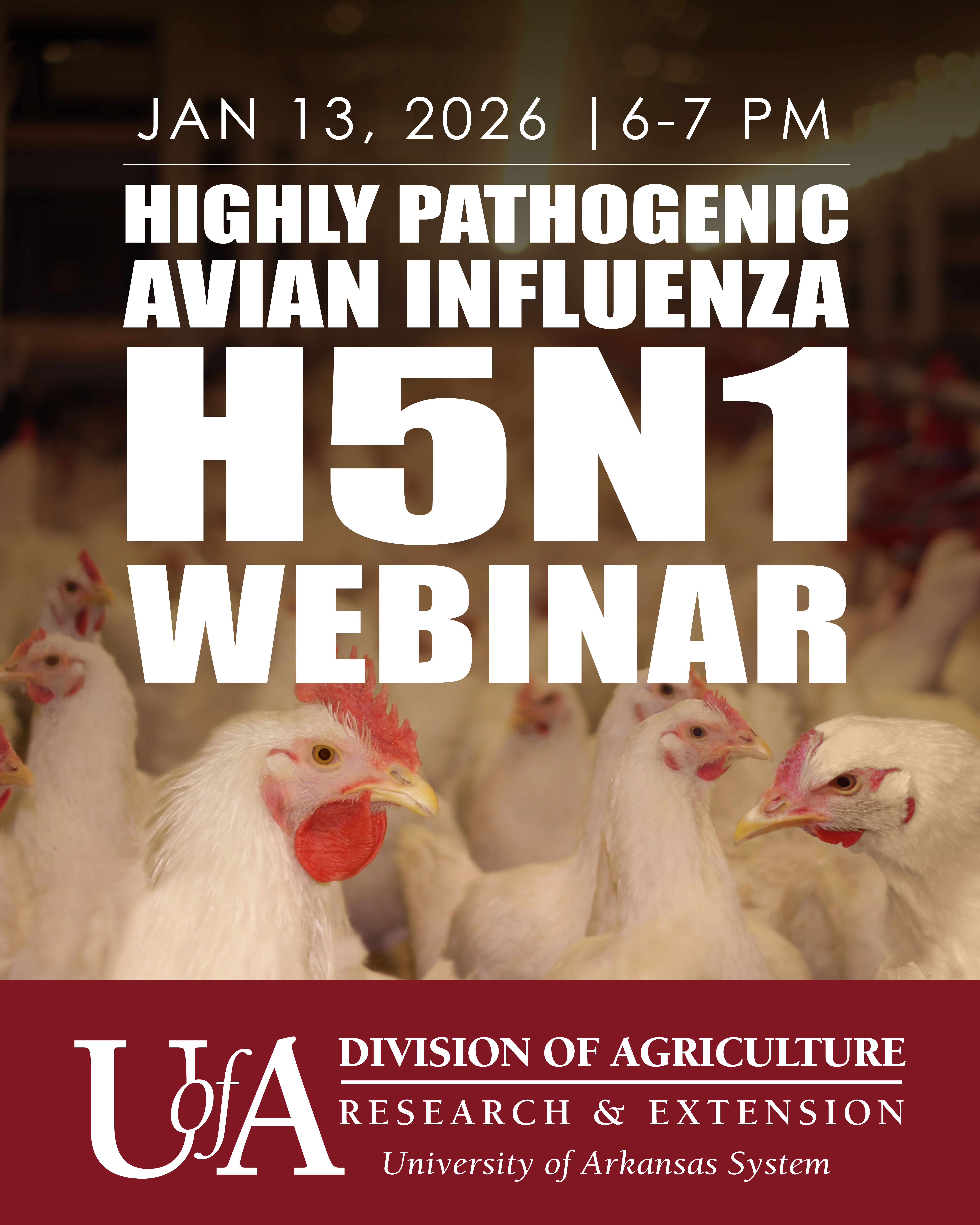Avian Flu Webinar - Tuesday, Jan. 13