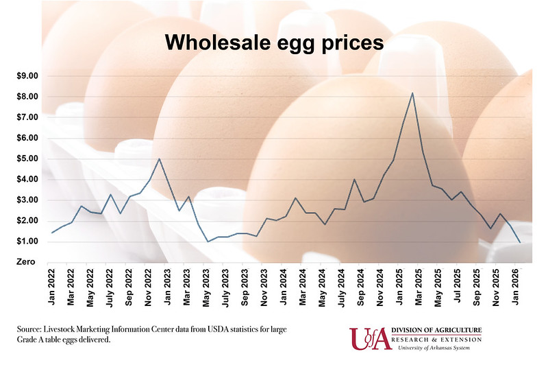 A look at the wholesale egg price rollercoaster since 2022. (UADA Image)