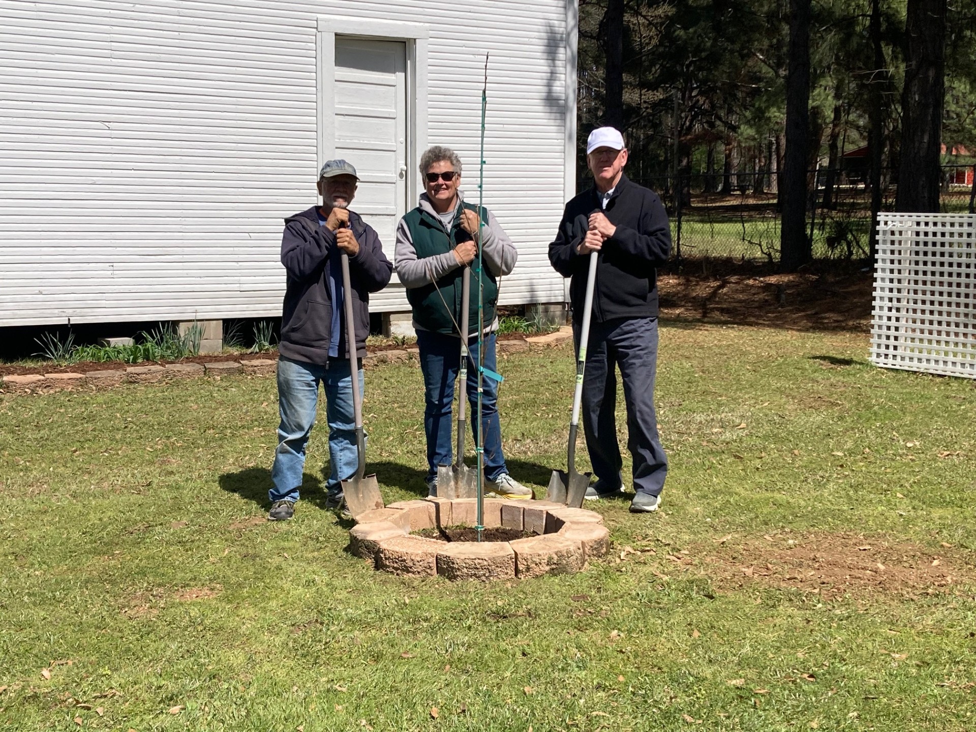Liberty Tree Planting