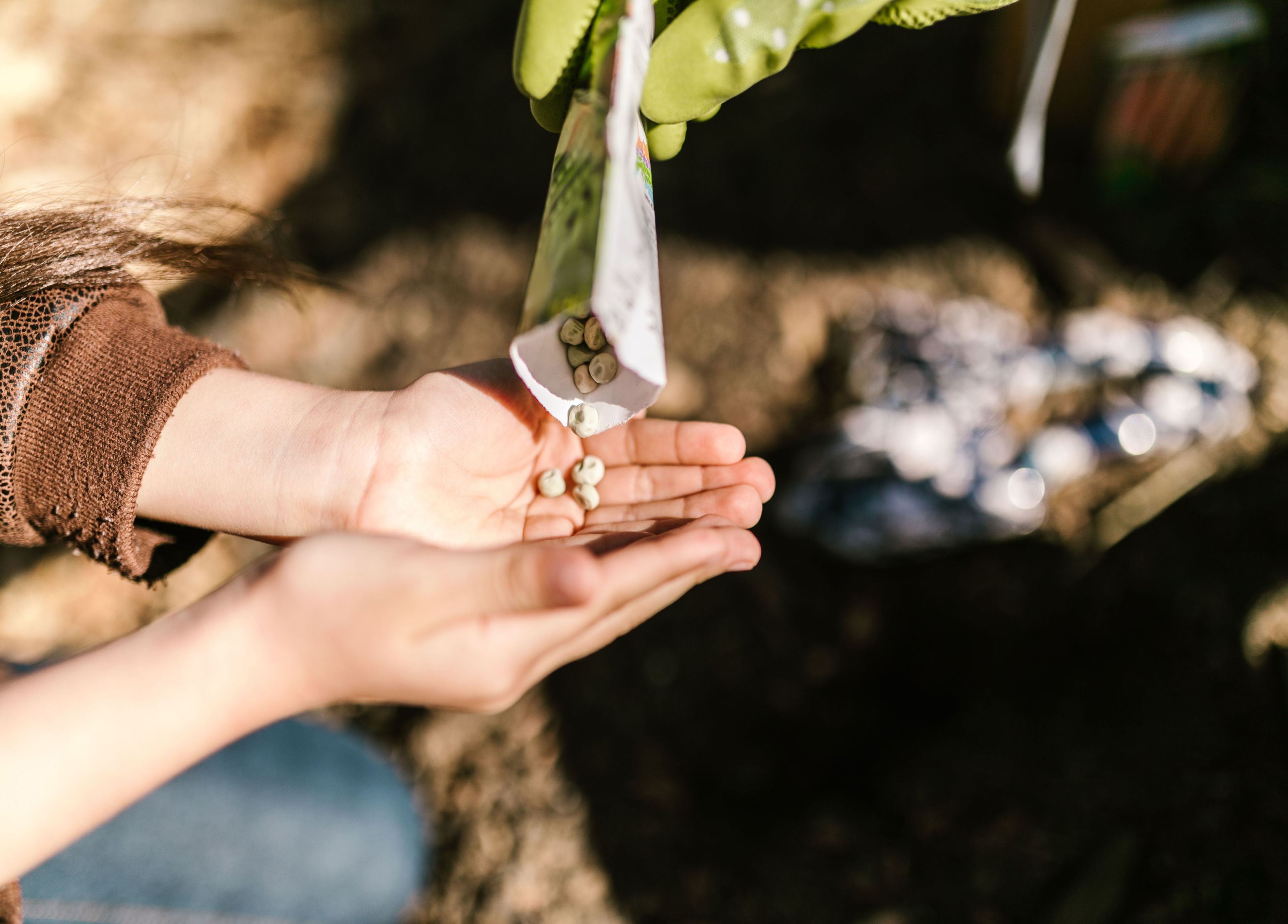 Saving Seeds