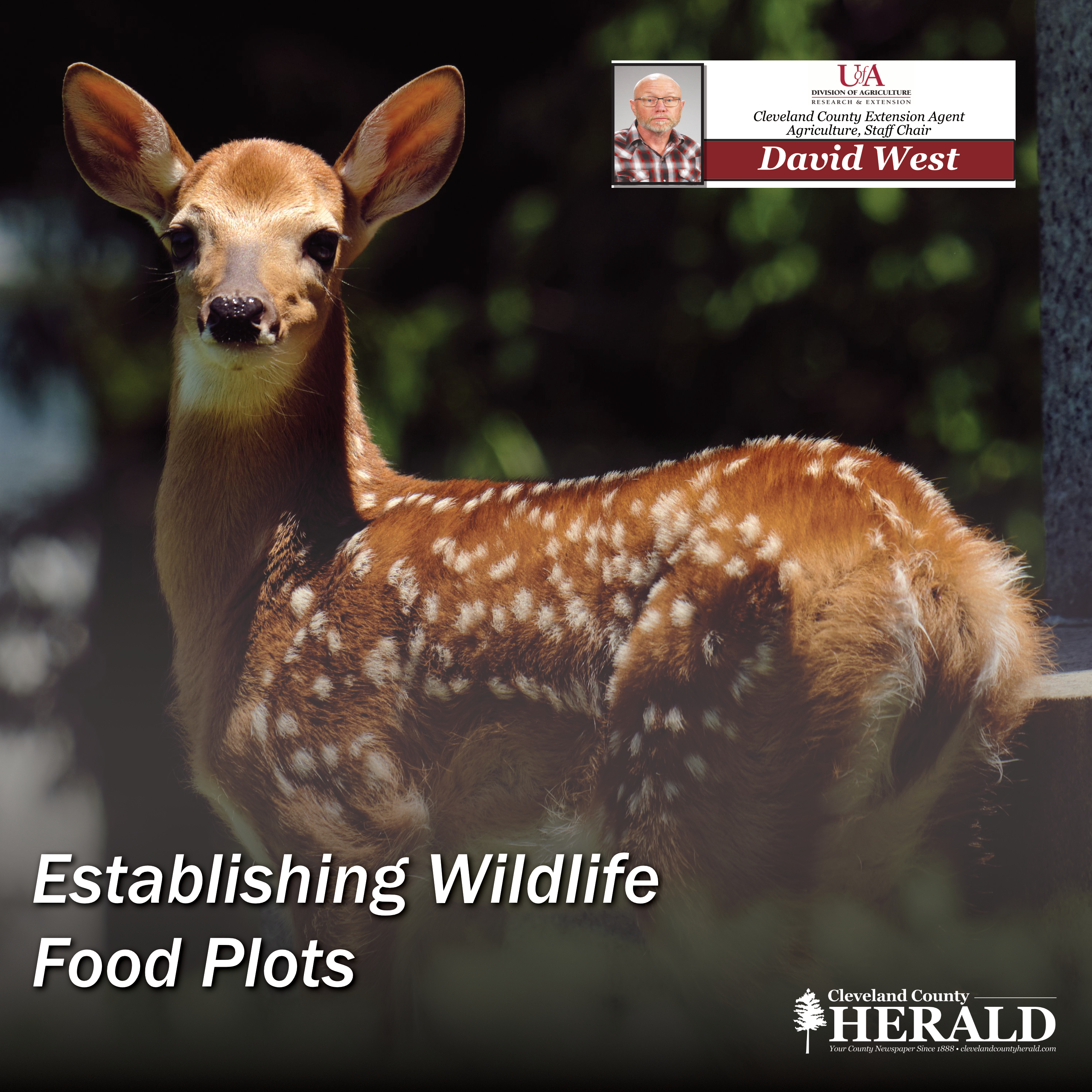 Establishing Wildlife Food Plots