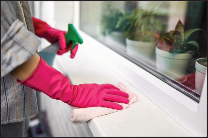 Clean and Green: Healthy Homes, Healthy People