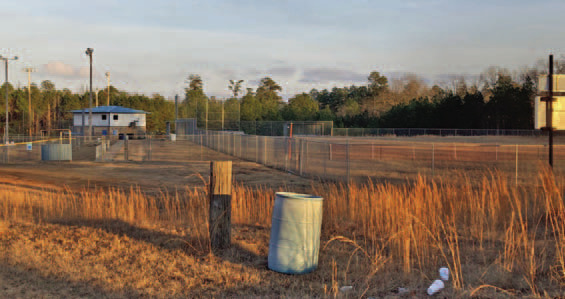 Youth Baseball/Softball Fields at Woodlawn Community Park