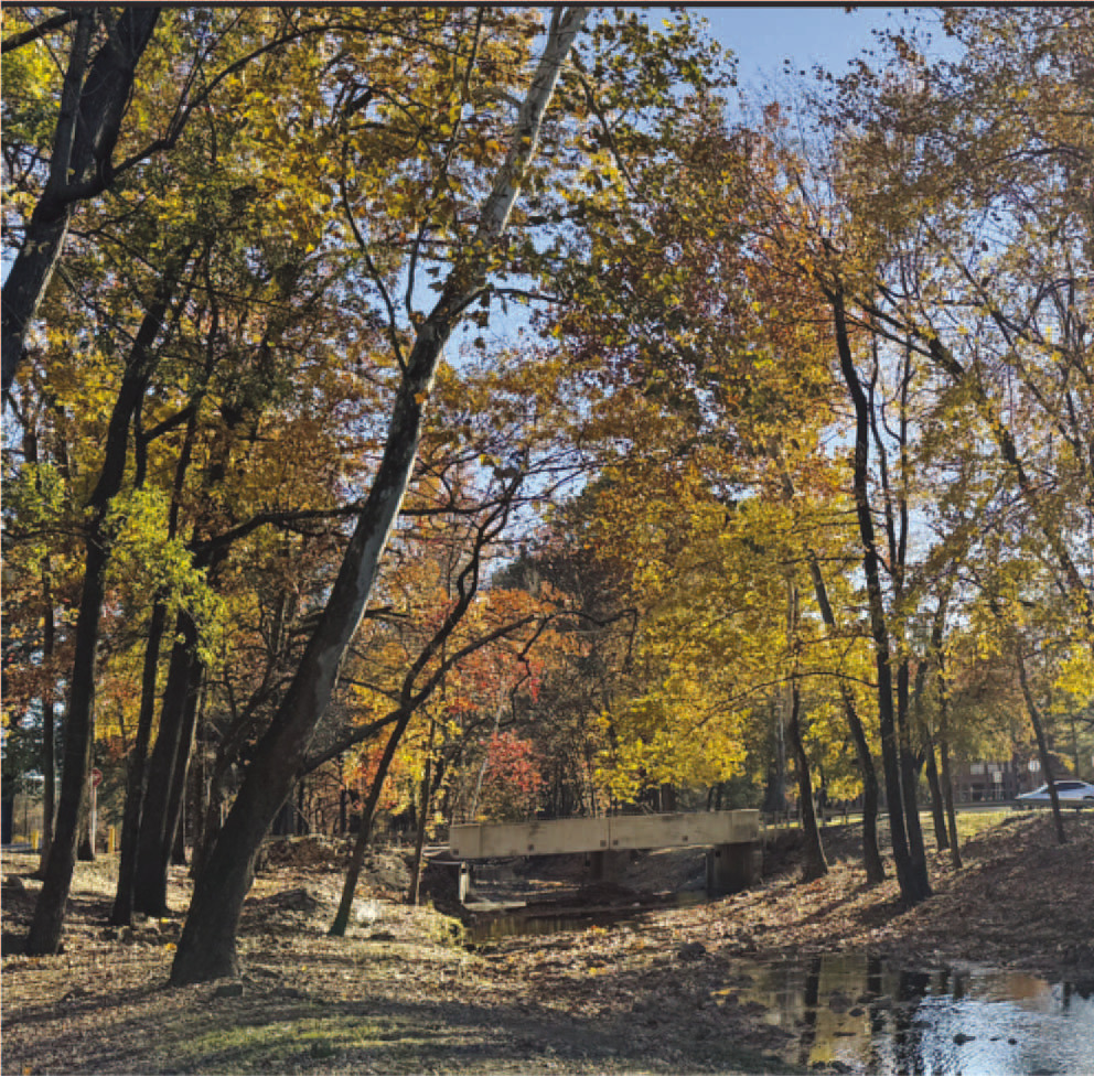 FALL FOLIAGE STILL HOLDING ON - This Dec. 11 photo from Little Rock shows trees still holding their leaves just a few days before t he official start of winter. Higher than normal fall temperatures are the reason the leaves have remained longer than usual, says Michael Blazier with the University of Arkansas at Monticello. (U of A System Division of Agriculture photo)