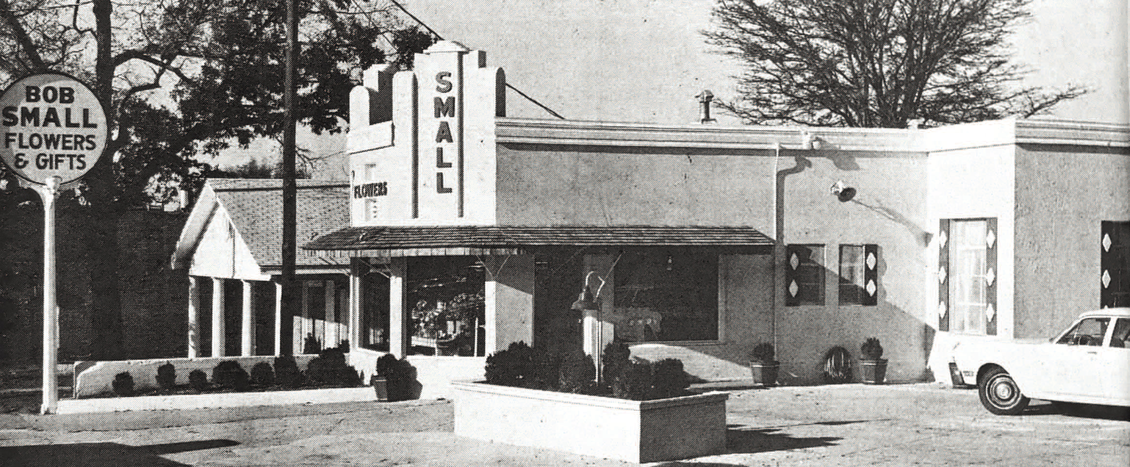 Glimpses from the Past