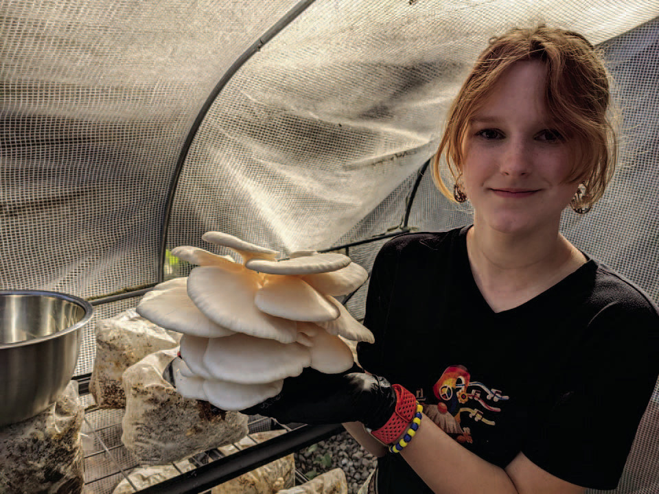 SUCCESSFUL FARMER ALREADY - Alaina Reeves, the 17-year-old owner of Gnome Home Farms, poses with a harvest of oyster mushrooms she raised inside the greenhouse she has set up at her home. She has already established a market for her mushrooms with local chefs and restaurants, and she is also selling dehydrated mushrooms online. Ultimately, Alaina said she wants to have about 20 acres for her mushroom farm, a hydroponics farm, herbal garden and small farm livestock. (Photo courtesy of Michael Reeves)