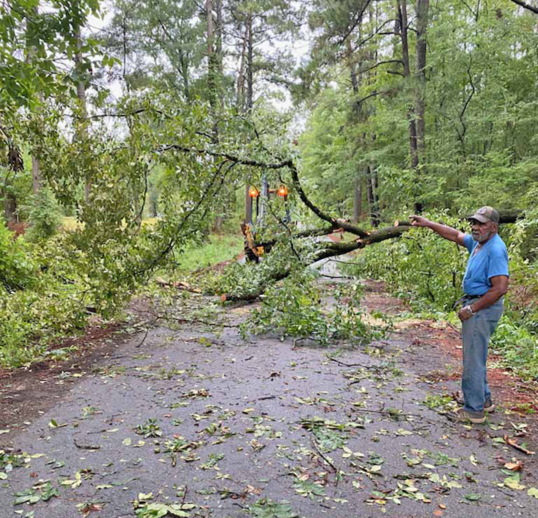 FALLEN TREE TEMPORARILY CLOSES FIRST STREET IN RISON - A crew from the City of Rison removes a large hickory tree that fell across First Street in a residential area of town Tuesday afternoon. Rison Mayor Charles Roberts said they had to temporarily close the First Street to cut the tree into into pieces before removing it. First Street runs parallel along the southside of the railroad tracks in Rison. (Photo courtesy of Charles Roberts)
