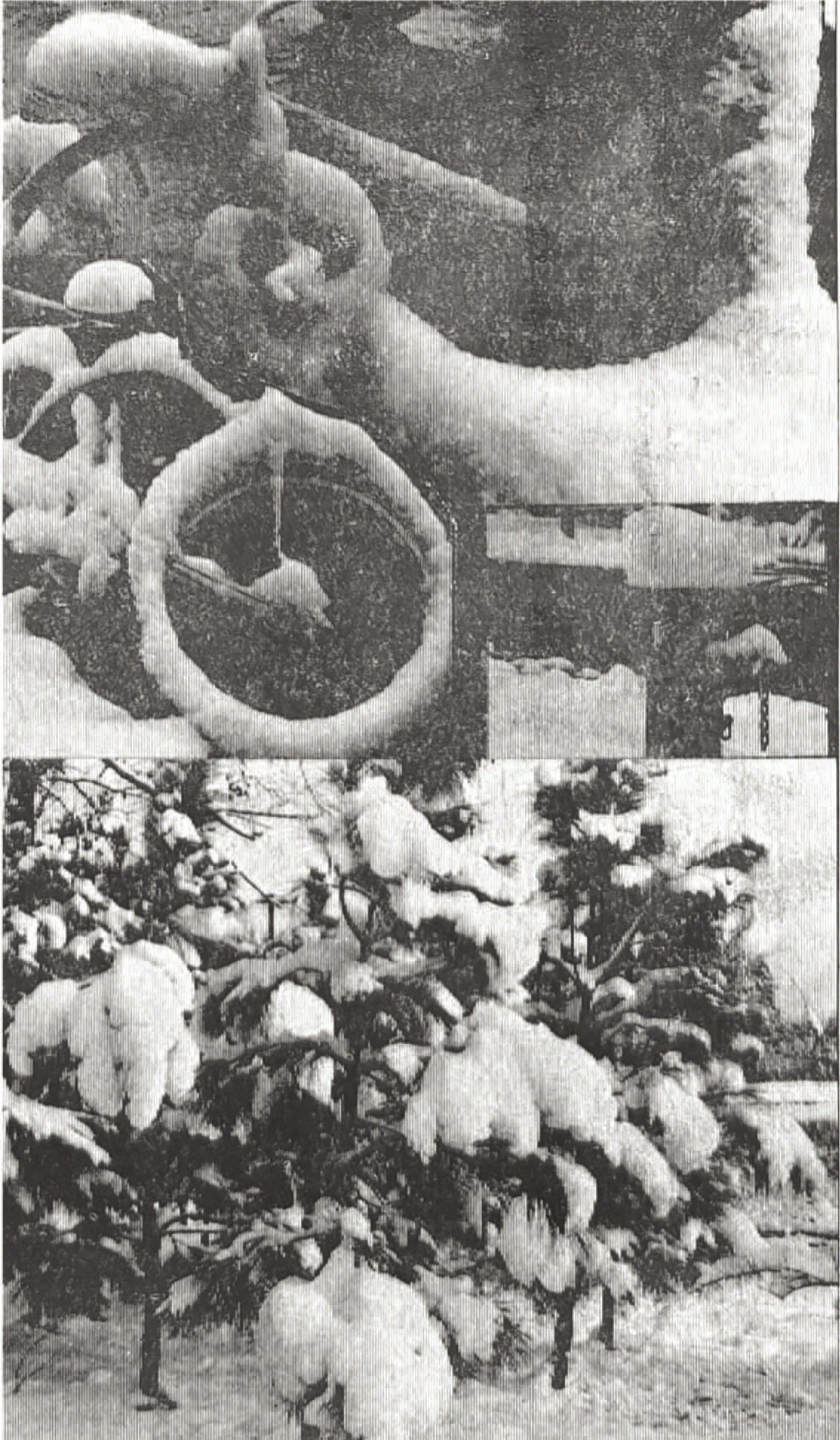 Glimpses from the Past