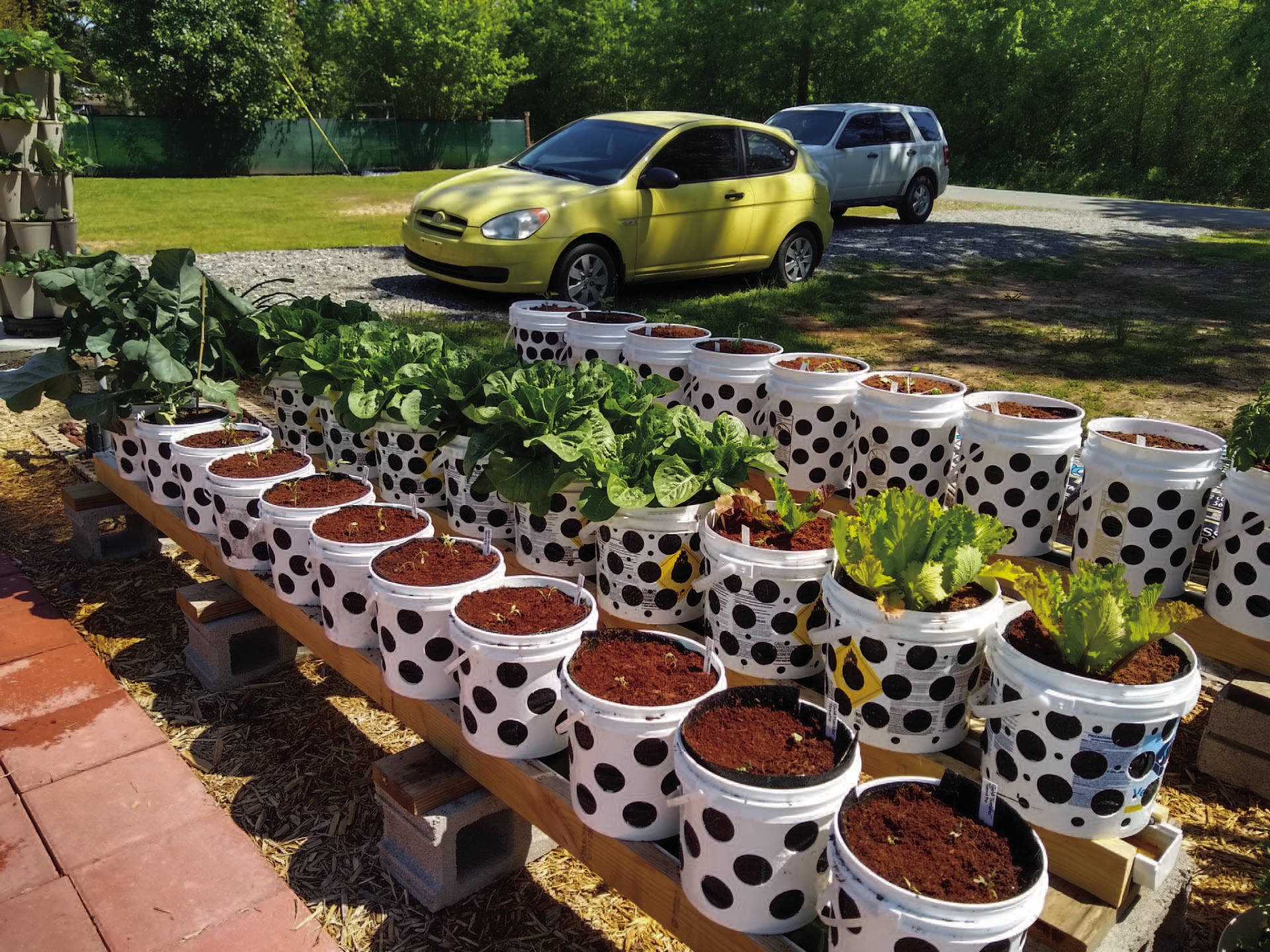 RAINWATER CUTTER GARDEN SYSTEM