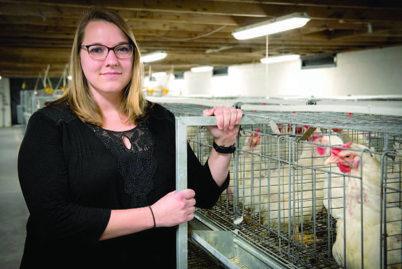 WATER EFFICIENT CHICKENS - Sara Orlowski, an associate professor of poultry science for the University of Arkansas System Division of Agriculture, compared water intake and food conversion ratios i n chickens bred for high, low and normal levels of water efficiency. (UA System Division of Agriculture photo)