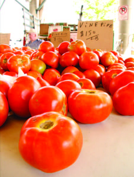 AVOID PUTTING IN THE FRIDGE - Research shows that chilling toma toes can damage the texture and flavor of tomatoes. The University of Arkansas System Division of Agriculture only recommends refrigerating tomatoes if they are very ripe and could shortly spoil. (Photo courtesy of UA System Division of Agriculture)