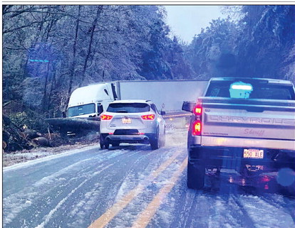 This 18-wheeler ran off Hwy. 35 just south of Rison early Friday morning to avoid colliding with a larger tree that had fallen across the highwy just south of Rison at about 5:30 a.m. Chief Deputy Gary Young said the sheriff's department had four reports of trees falling across roads in the county. In addition to this one, Young said two trees fell across Hwy. 133 north of Rison and another fell across Rodgers Road in the northern part of the county. (Photo compliments of Charlene Freeman).