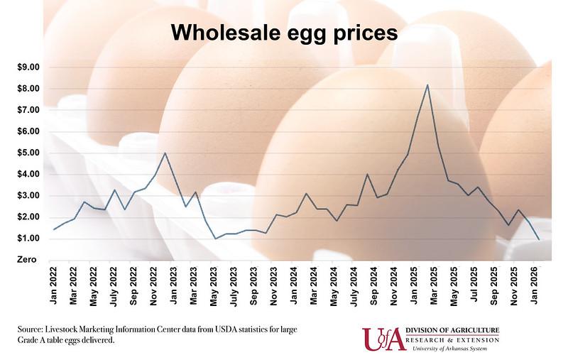 A look at the wholesale egg price rollercoaster since 2022. (UADA Image)
