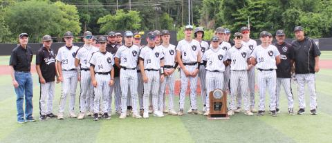 Bears Baseball Team