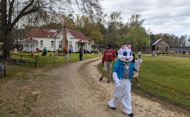 EASTER BUNNY VISITS COMMUNITY EGG HUNT AT RISON - Rison Shine C ommunity Development and the Pioneer Village co-hosted the Cleveland County Eggstravaganza Saturday at the historic village in Rison. The egg hunt featured around 2,000 eggs and more than 60 kids scouring the grounds looking for candy and prize-filled eggs. The event also included a pancake breakfast with the bunny that served as a fundraiser for the two groups.