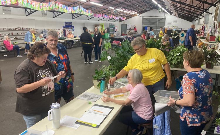 CHECK-IN DAY AT THE CLEVELAND COUNTY FAIR - Superintendents Kathy Waldrop, Marty Bowlin and Patricia McClellan (pictured on the right) are busy Tuesday afternoon checking in plants that will be among the being judged during the 2024 Cleveland County Fair that week at the fairgrounds in Rison. Cleveland County Fair Board President Roy Phillips said they expect to have more than 100 entries in this year's fair after livestock and baked goods are checked in today.