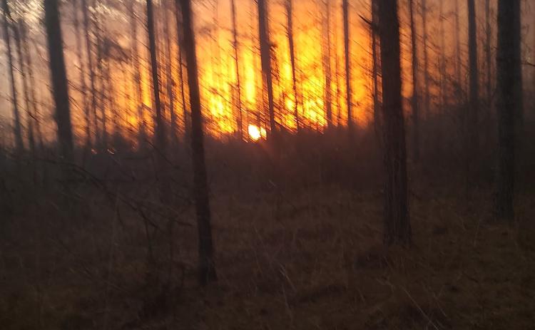 NEW EDINBURG WILDFIRE - This shot taken by a member of the New Edinburg Volunteer Fire Department shows the size of the fire that was burning along Mt. Lebanon Road in the New Edinburg area last Wednesday. There were reports that two other fires were in that same area of Saturday.