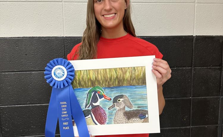 Davidson Places First in Art Competition