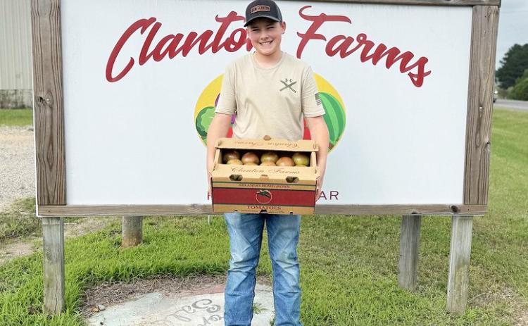 First box of tomatoes - Westin Clanton holds the first box of tomatoes — a batch of Cherokee Purples — delivered to the Bradley County Extension Office on May 19. Westin is the son of Randy Clanton, Jr., and Skye Clanton, owners of Clanton Farms in Hermitage, Arkansas. (Image courtesy John Gavin)