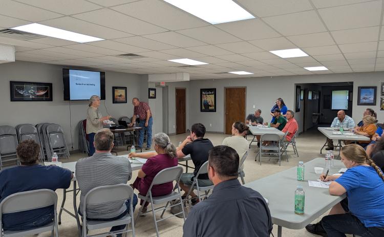 Business owners Malinda Berry, Britt Talent and Kristy Strother (who also serves as President of Rison Shine) moderated the meeting Monday evening.
