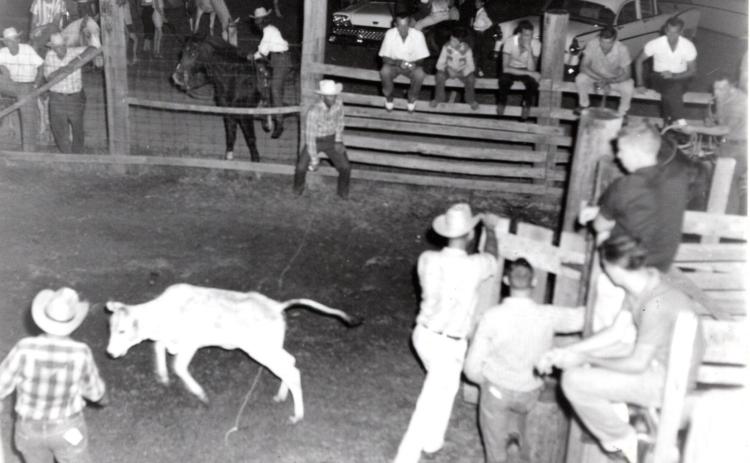 Glimpses from the Past