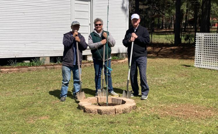 Liberty Tree Planting