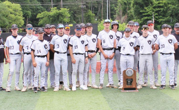 Bears Baseball Team