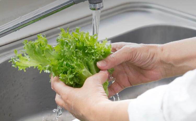 MINIMIZING RISK — Although washing produce can reduce contamination, it's important to remember that it may not remove all Cyclospora. (Division of Agriculture graphic.)