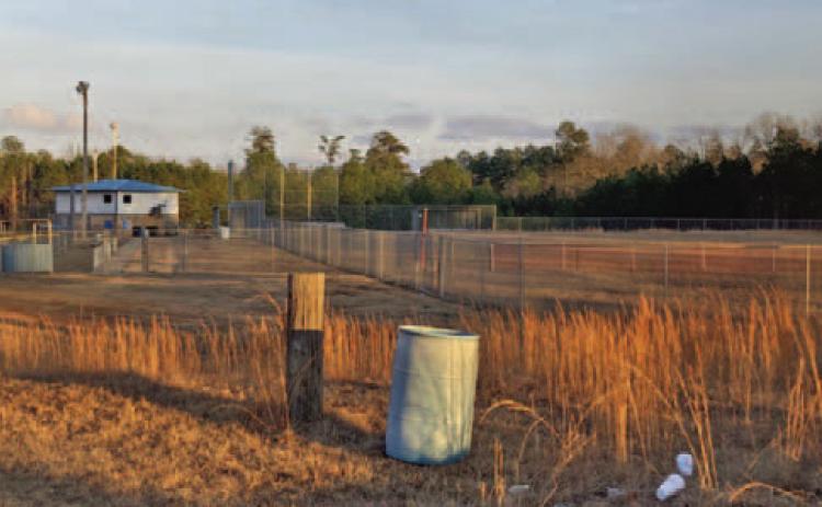 Youth Baseball/Softball Fields at Woodlawn Community Park