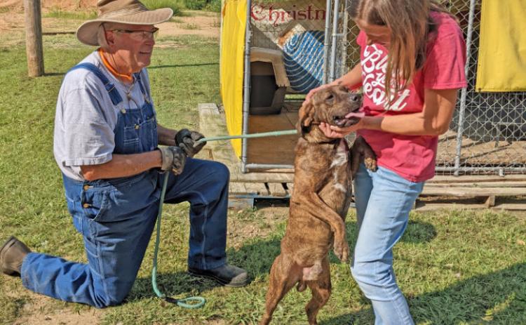 RISON PAWS FOR A CAUSE - Mark Pitchford (left) and Rhonda Fletcher (right) with Rison Paws For A Cause work with Chuckie, one of the rescued animals, at the shelter in Rison Tuesday afternoon. The non-profit group says it has addressed some of the issues raised against it on social media.