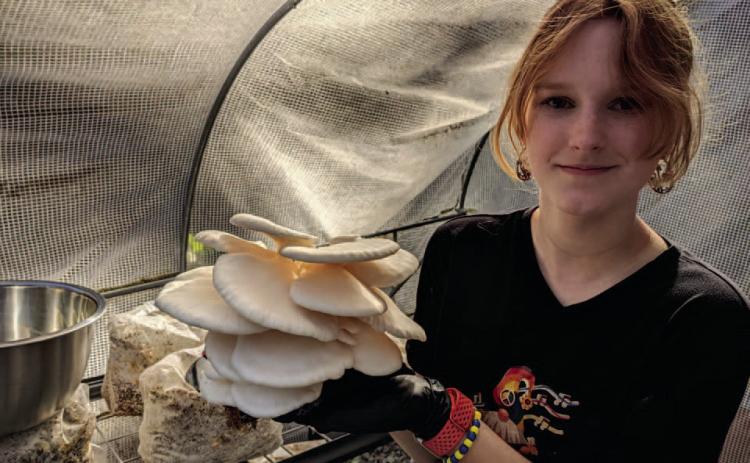 SUCCESSFUL FARMER ALREADY - Alaina Reeves, the 17-year-old owner of Gnome Home Farms, poses with a harvest of oyster mushrooms she raised inside the greenhouse she has set up at her home. She has already established a market for her mushrooms with local chefs and restaurants, and she is also selling dehydrated mushrooms online. Ultimately, Alaina said she wants to have about 20 acres for her mushroom farm, a hydroponics farm, herbal garden and small farm livestock. (Photo courtesy of Michael Reeves)