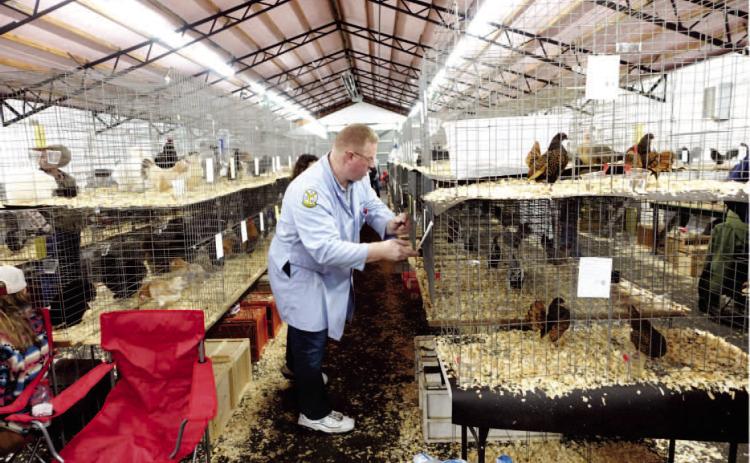 BACKWOODS POULTRY SHOW - Brian Gates marks off an entry in the bantam competition at the Backwoods Poultry Show held this past Saturday at the Cleveland County Fairgorunds in Rison. Frankie Harper of Rison, organizer of the event, said this year's show drew entries from as far away as Iowa, Nebraska and Kansas. In total, he said just under 400 birds took part in the competition.