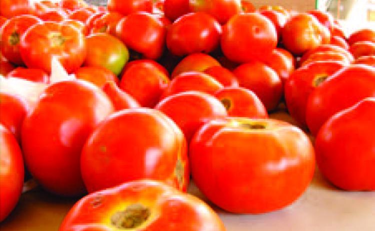 AVOID PUTTING IN THE FRIDGE - Research shows that chilling toma toes can damage the texture and flavor of tomatoes. The University of Arkansas System Division of Agriculture only recommends refrigerating tomatoes if they are very ripe and could shortly spoil. (Photo courtesy of UA System Division of Agriculture)