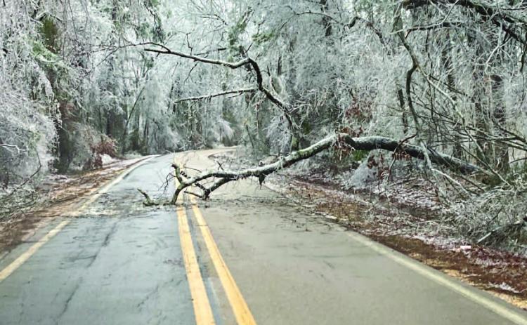 FAMILIAR SCENE AROUND CLEVELAND COUNTY - A fallen tree blocks a lane traffic along Hwy. 133 north of Rison after last week's ice storm with about a half inch of ice accumulate snapped trees and trees limbs, and downed power lines. Charlotte Quimby of the Arkansas Department of Transportation service center at Rison said every highway in the county had trees across them as a result of the storm, including U.S. Hwys. 63 and 79.