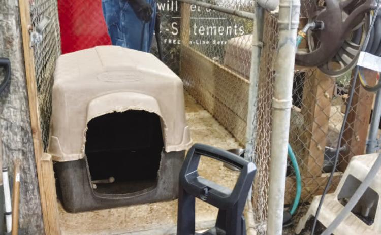 PAWS FOR A CAUSE KENNELS GET GOOD CLEANING