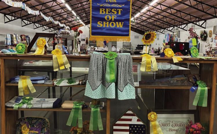 2024 Best of Show at County Fair