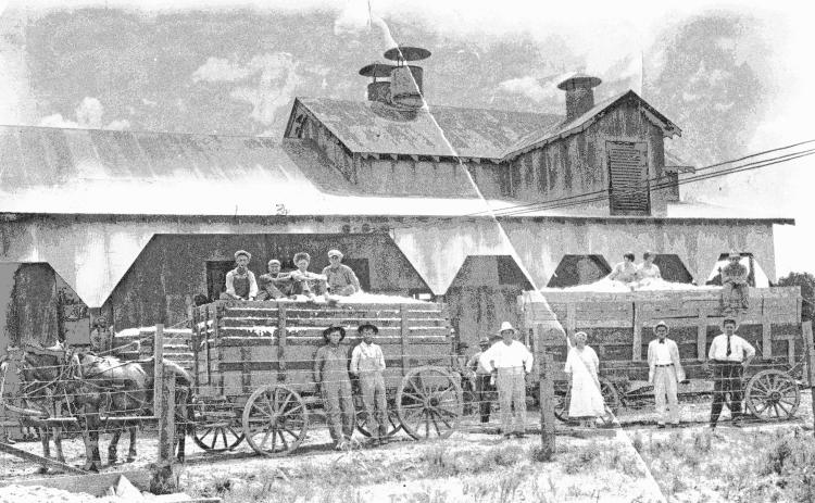 Glimpses from the Past